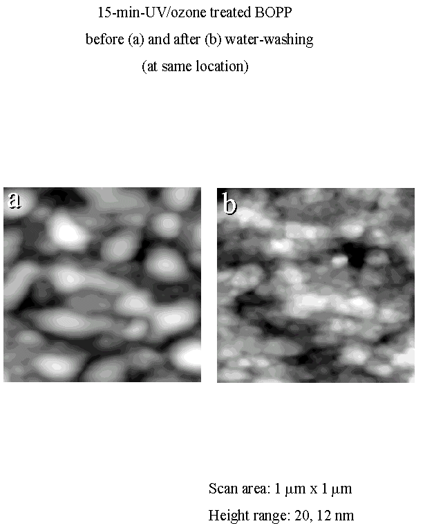 Images for water-washed 15-minute UV/ozone treated BOPP film at the same area