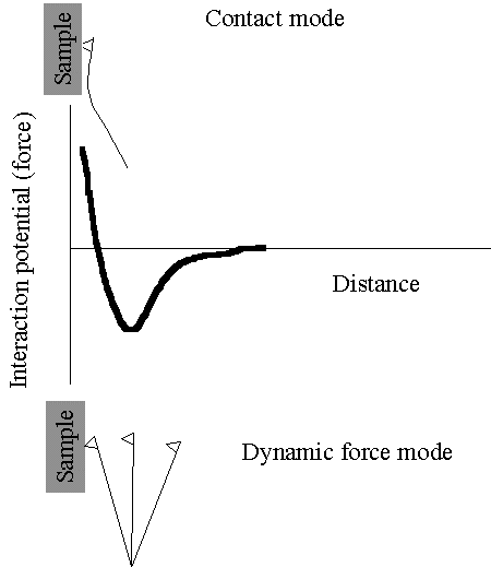 contact and dynamic force mode AFM