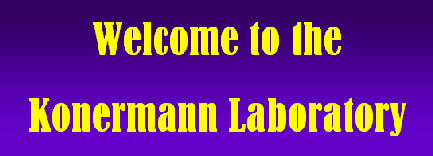 Welcome to the Konermann Laboratory
