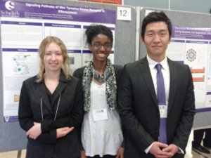 Heit lab @ IIRF 2012