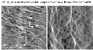 DF mode AFM of BOPP (strcture)