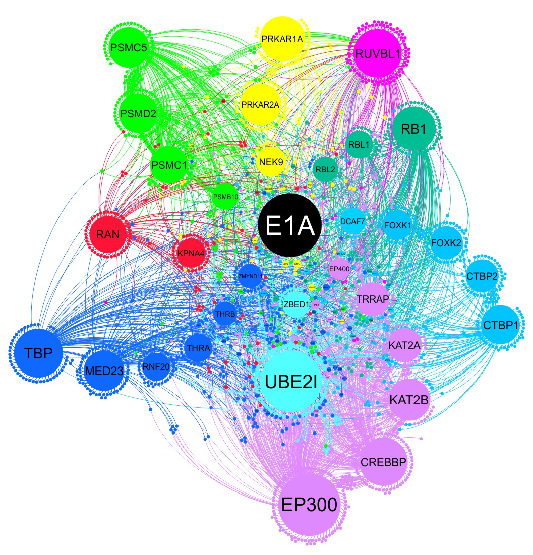 E1A interactome