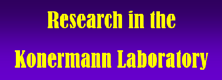 Research in the Konermann Laboratory