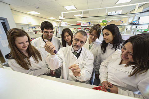 First day in the Belfast lab