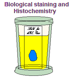 Histochemistry
