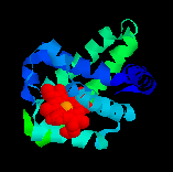 myoglobin