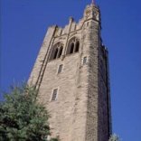 UWO University College