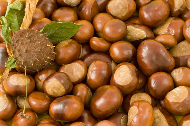 Chestnuts