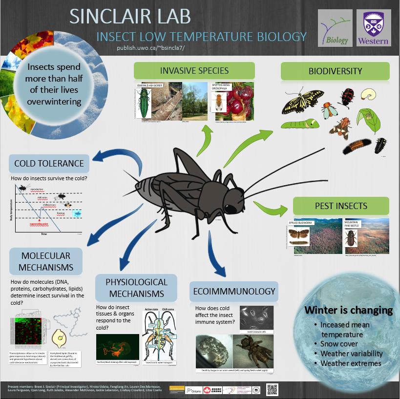 Sinclair lab infographic