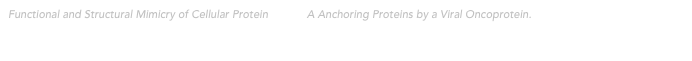 Functional and Structural Mimicry of Cellular Protein Kinase A Anchoring Proteins by a Viral Oncoprotein.  PLoS Comput Biol. 2015 Dec 11. 11(12):e1004634. doi: 10.1371/journal.pcbi.1004634. King CR, Cohen MJ, Fonseca GJ, Dikeakos JD, Mymryk JS. PLoS Pathogens. 2016 May 3;12(5):e1005621. doi: 10.1371/journal.ppat.1005621.