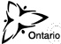 Ontario Early Research Award