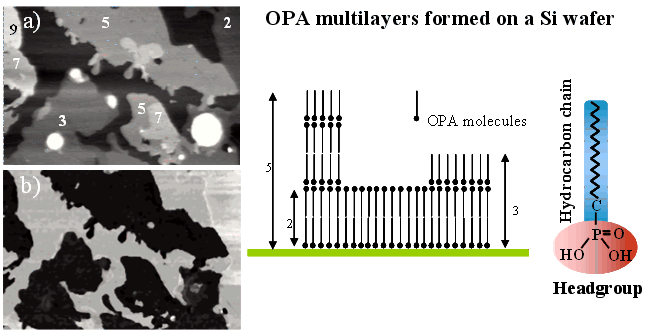 friction force microscopy of OPA multilayers