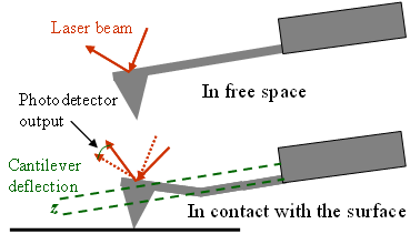 tip in contact with sample saurface