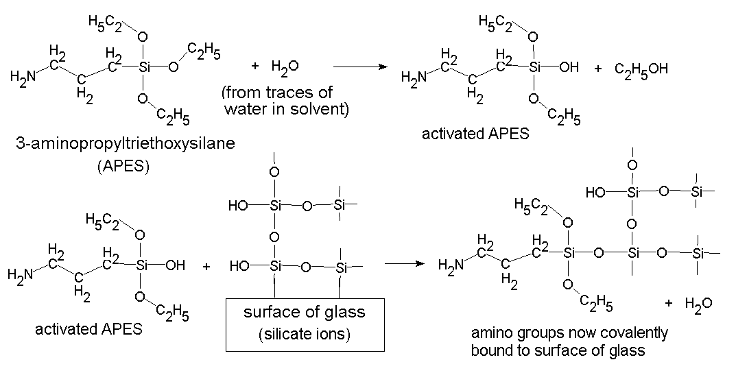 APES reaction with glass