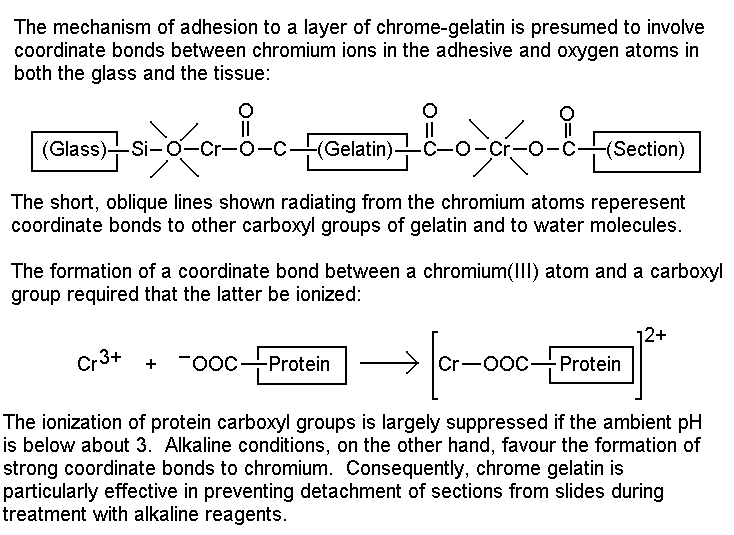 Effects of pH on chrome-gelatin