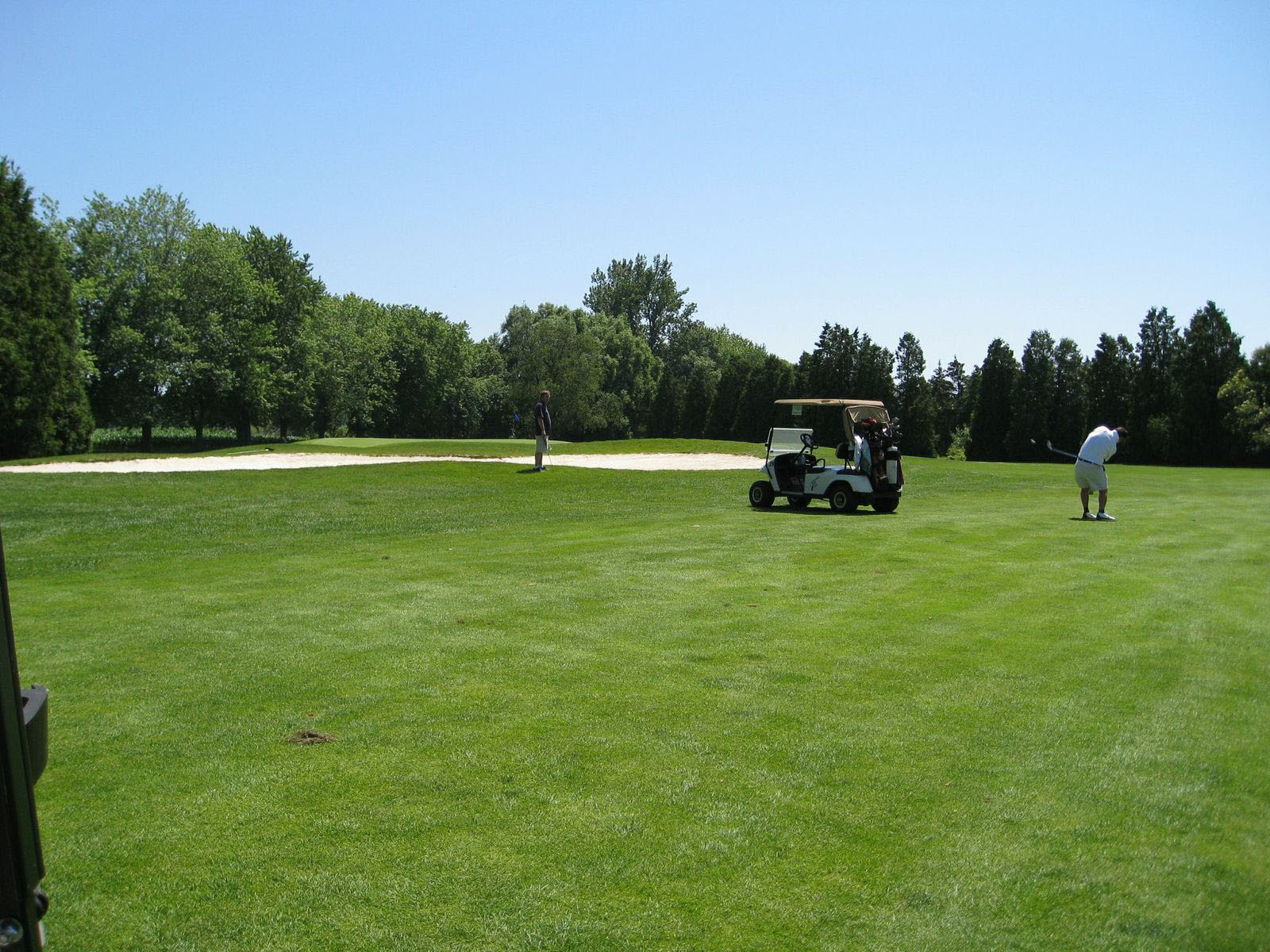 blenheim community golf course, summer, two men playing, golf cart