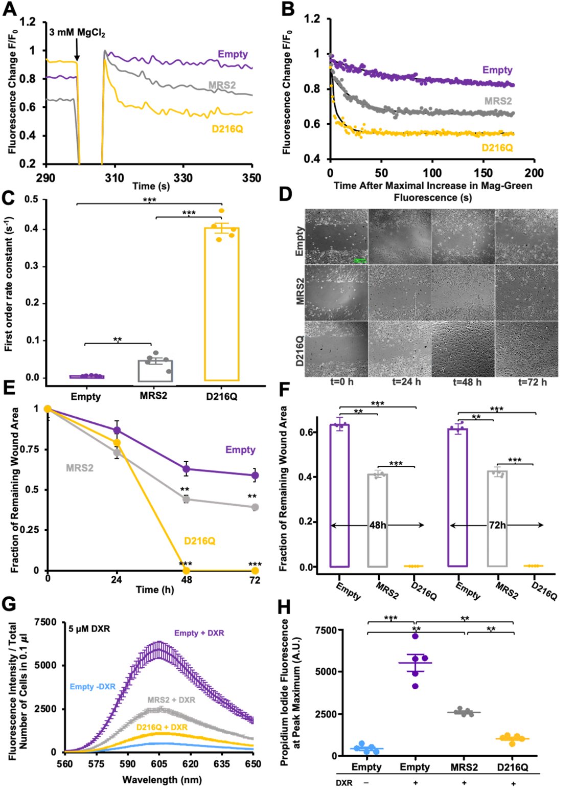 Research Image 2