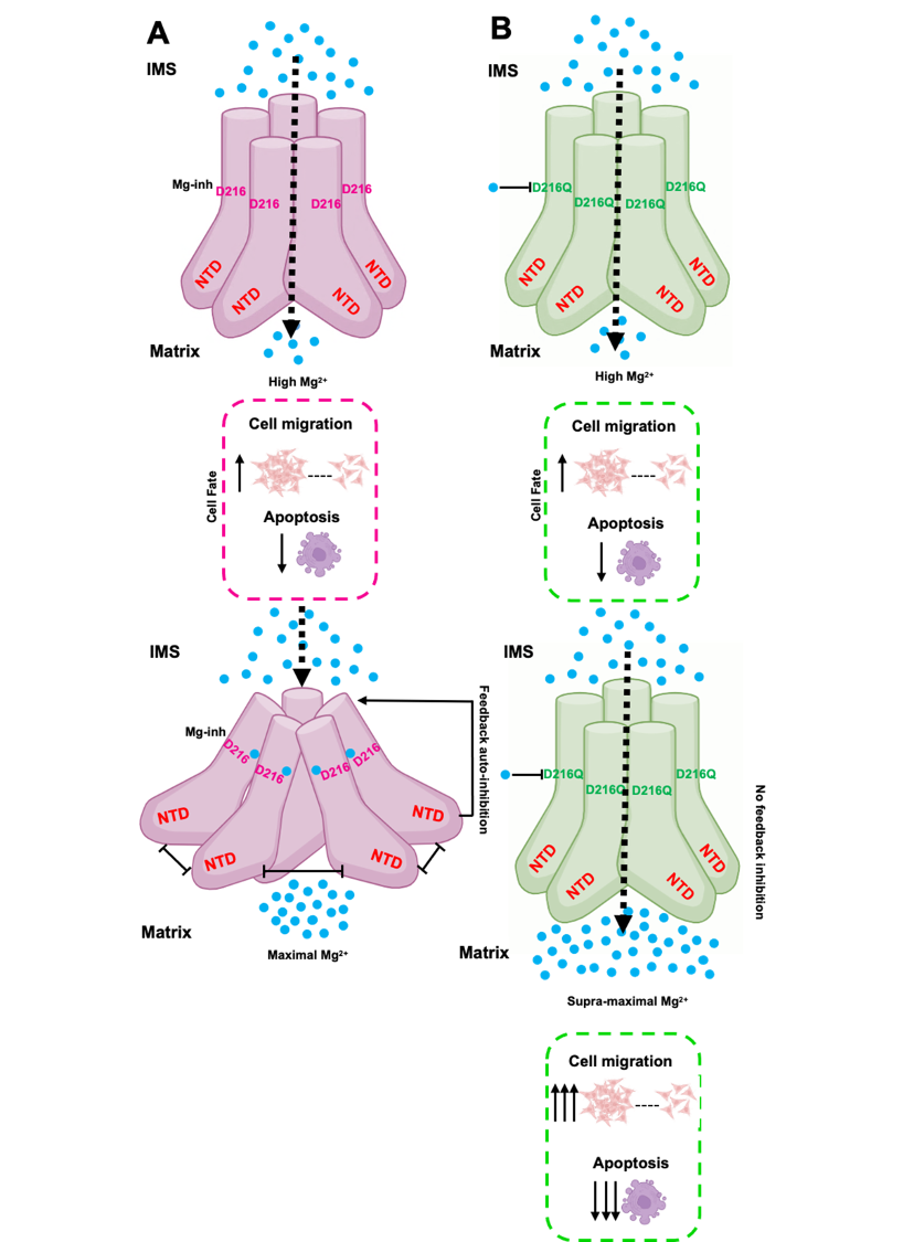 Research Image 3