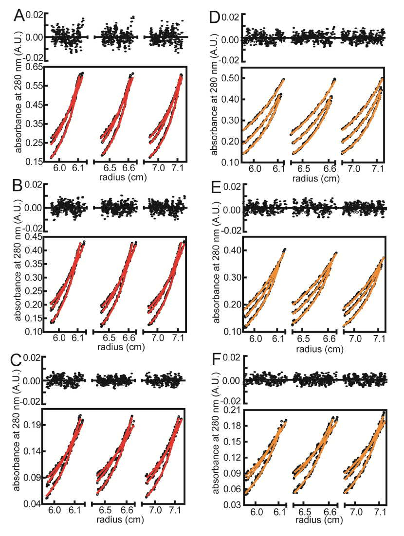 Research Image 10