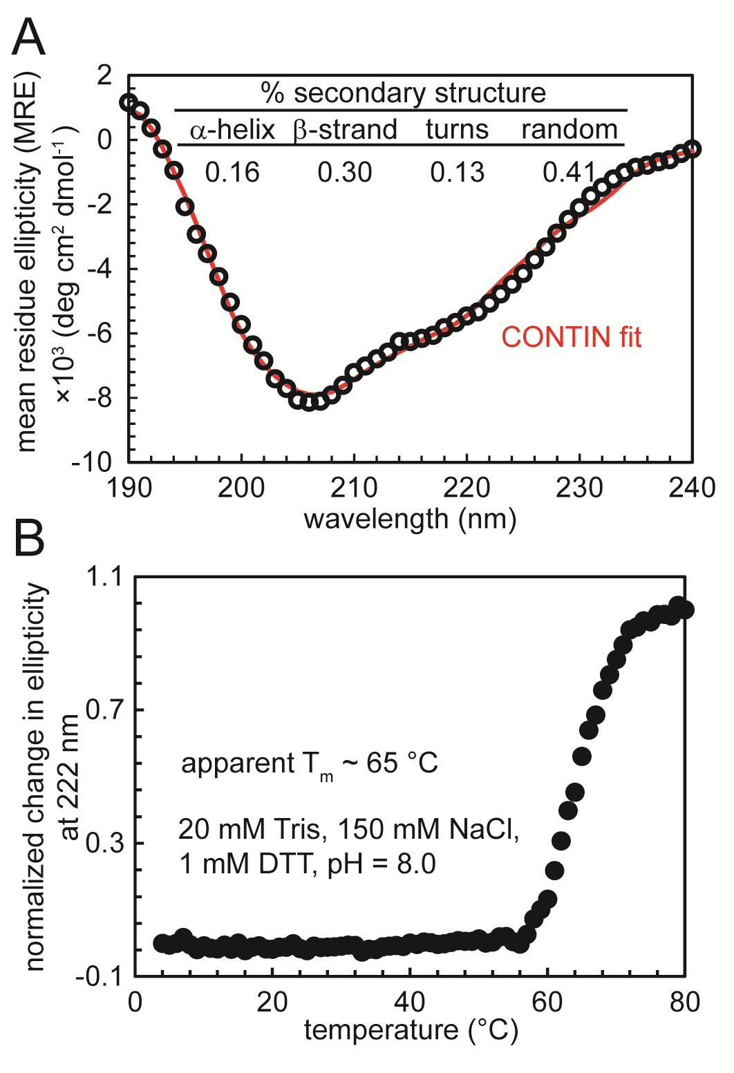 Research Image 7