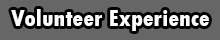 volunteer experience button