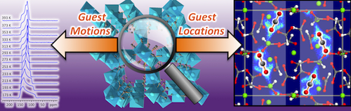 Guests in porous frameworks