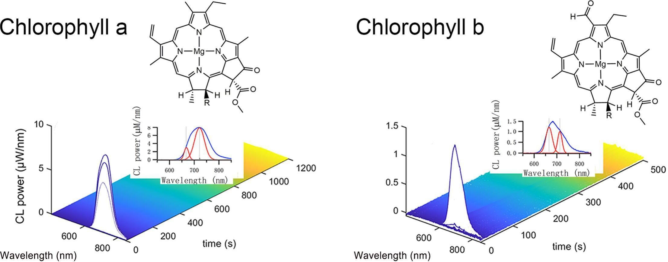 chlorophyll_TOC